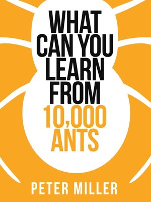 cover image of What You Can Learn From 10,000 Ants (Collins Shorts, Book 4)